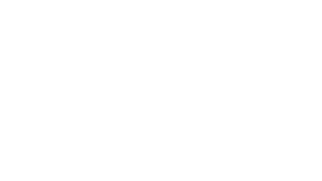 Southeast Texas Visionary Awards